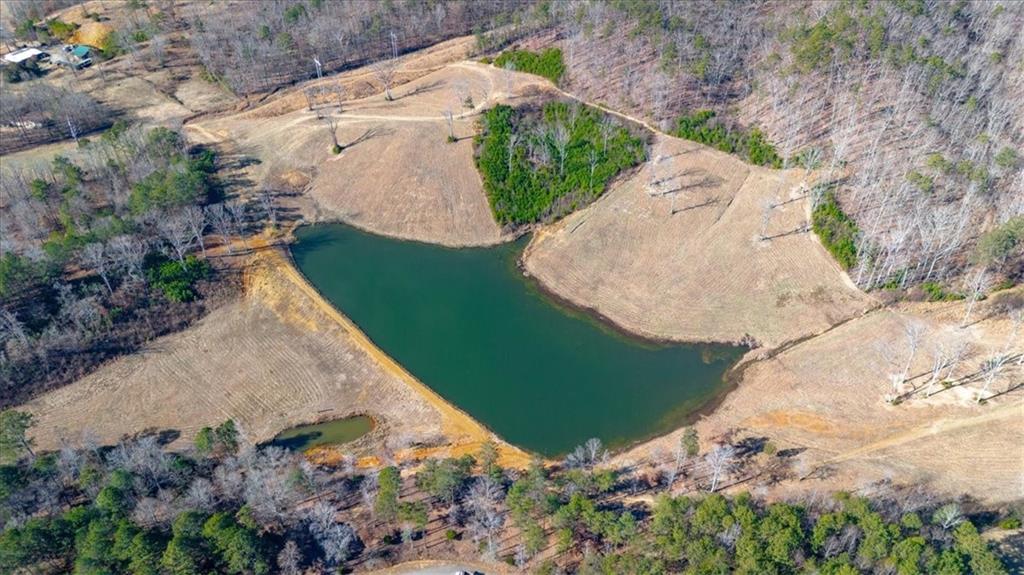 2623 Big Texas Valley Road Northwest Rome, GA 30165 - Photo 77 of 90 an aerial view of a house with a yard and trees