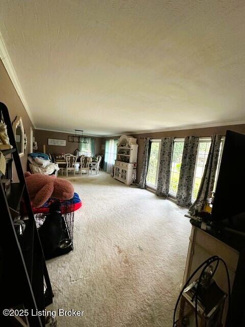 608 Edgemont Road Irvington, KY 40146 - Photo 23 of 47 IMG_7984