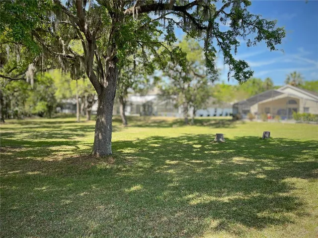 a view of a park with large trees