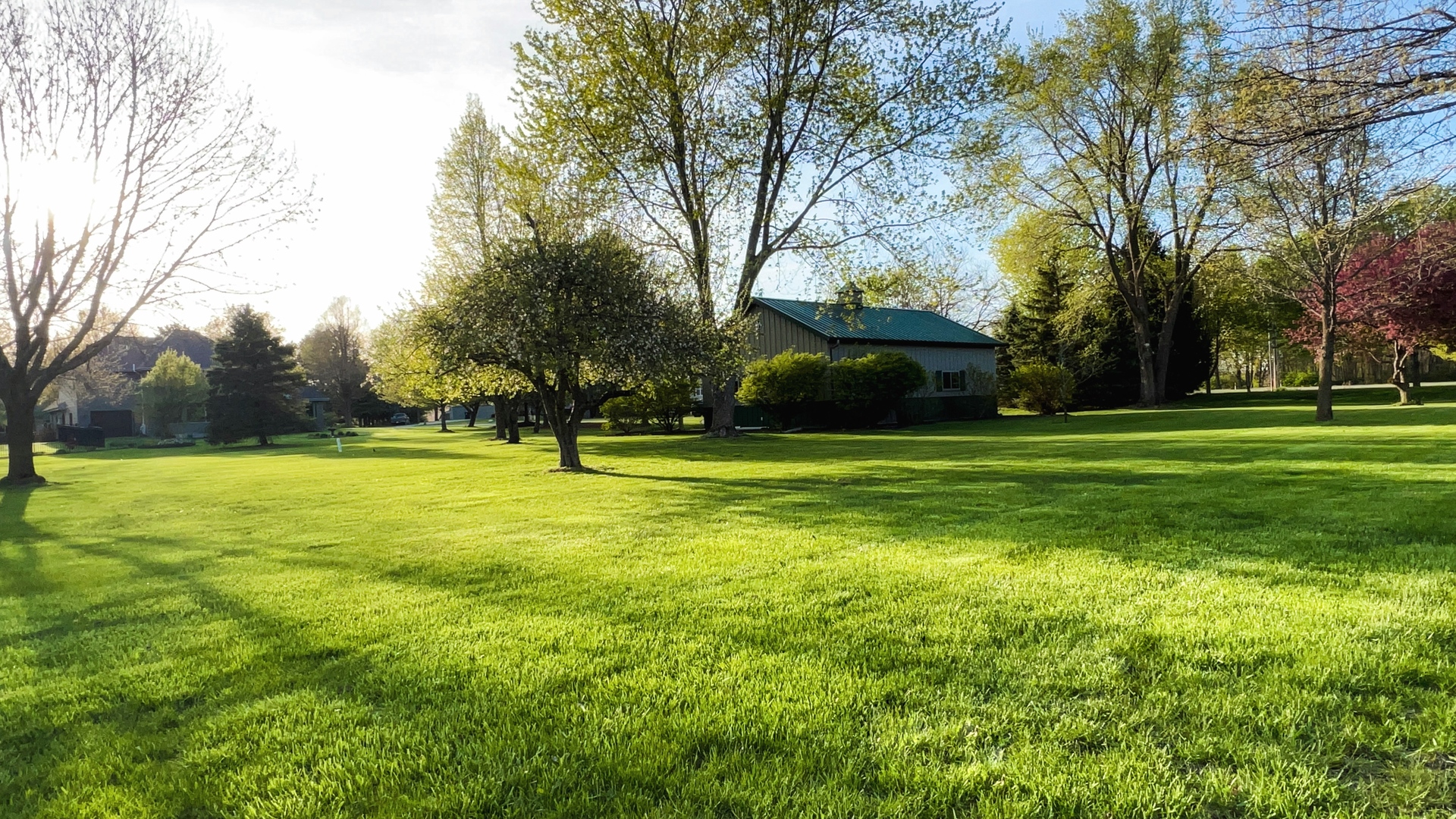 20379 Cedar Avenue Downs, IL 61736 - Photo 17 of 97 a view of a trees in a park