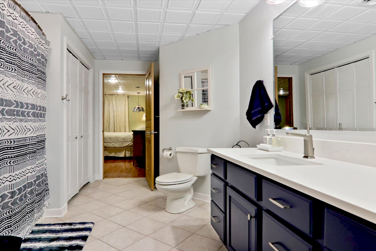 20379 Cedar Avenue Downs, IL 61736 - Photo 82 of 97 a bathroom with a sink a toilet and shower