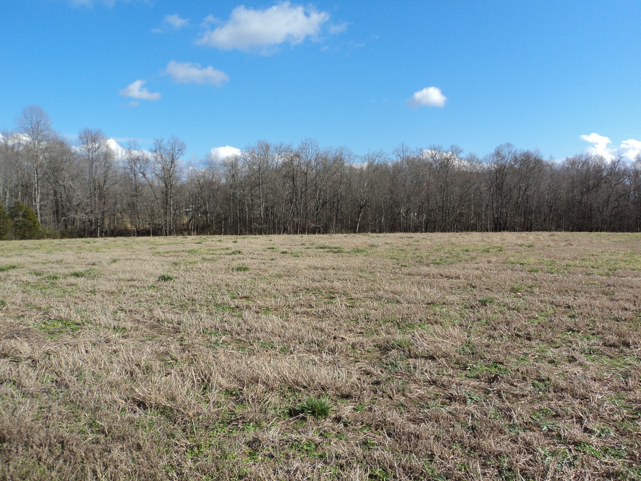 340 Clyde Vickers Road Estill Springs, TN 37330 - Photo 11 of 17 Gallery Image 11