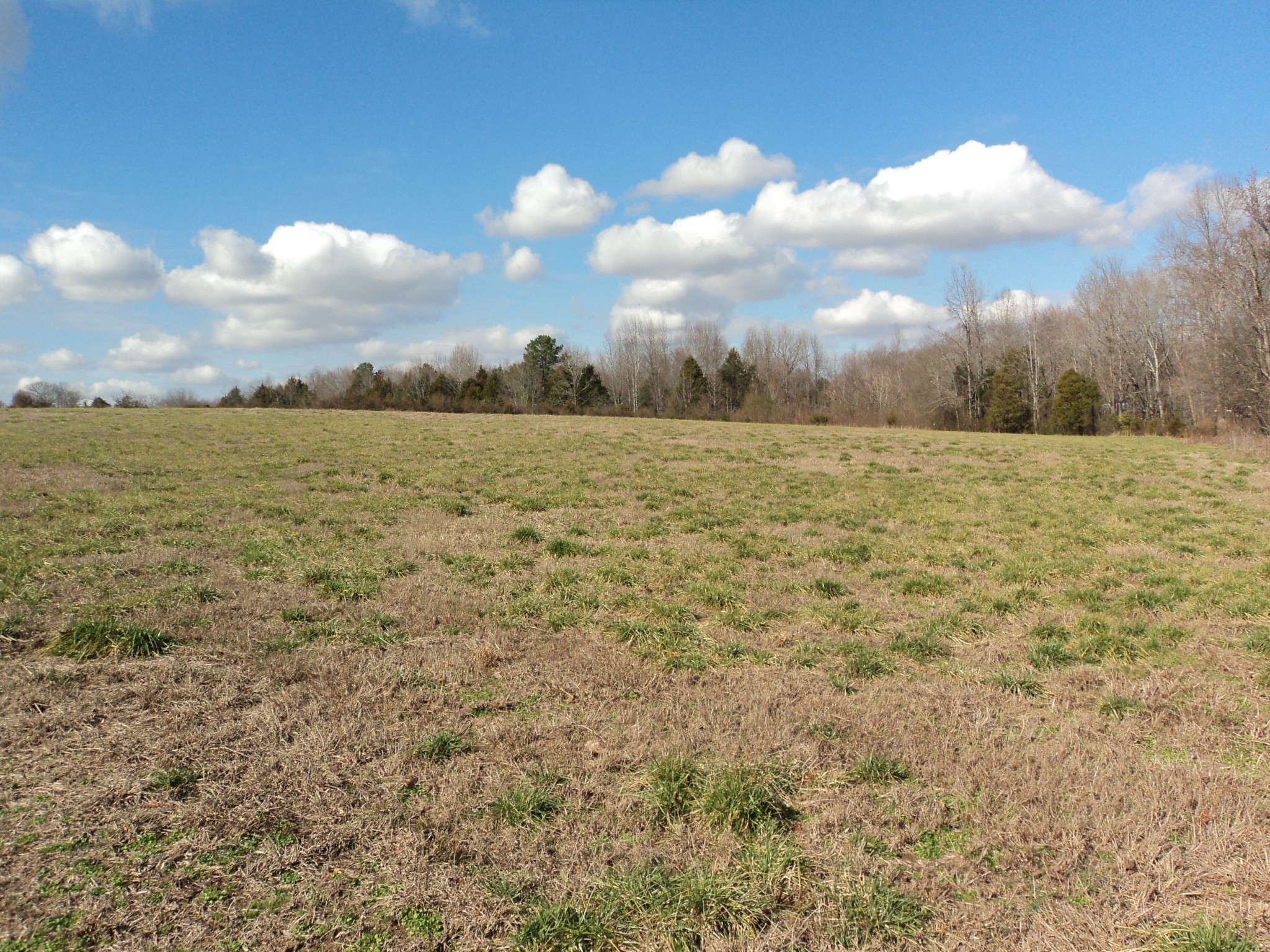 340 Clyde Vickers Road Estill Springs, TN 37330 - Photo 13 of 17 Gallery Image 13