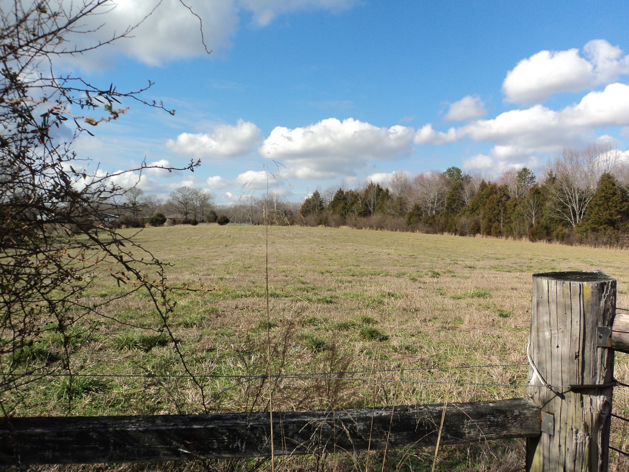 340 Clyde Vickers Road Estill Springs, TN 37330 - Photo 14 of 17 Gallery Image 14