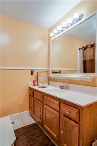 1286 Primm Road Ashland City, TN 37015 - Photo 13 of 18 Hall bath - w/access door from master Jacuzzi tub!!