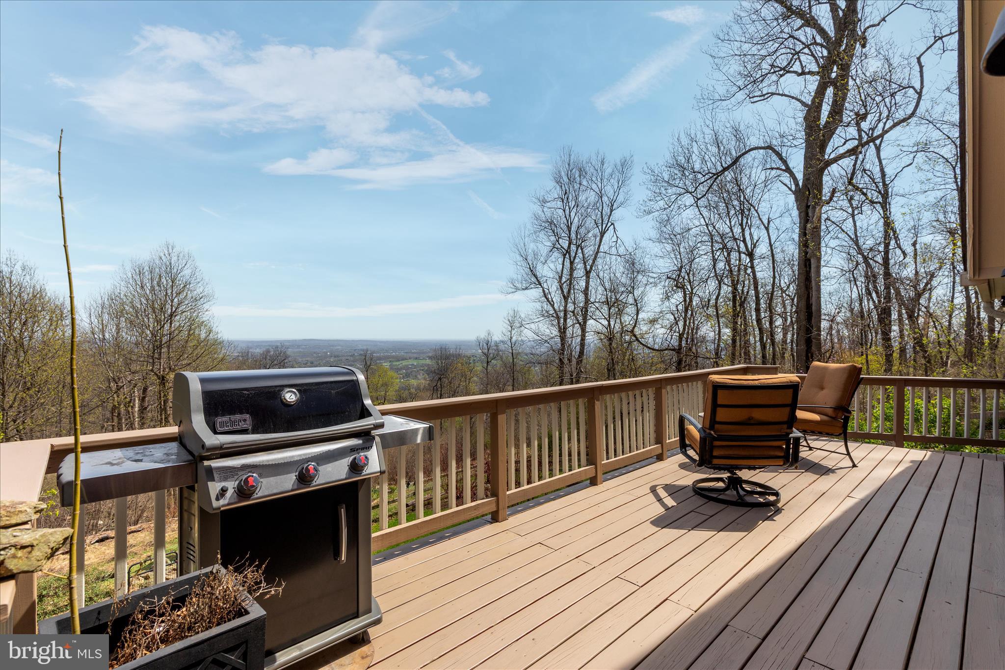 17352 Raven Rocks Road Round Hill, VA 20141 - Photo 13 of 47 a view of a balcony with chairs