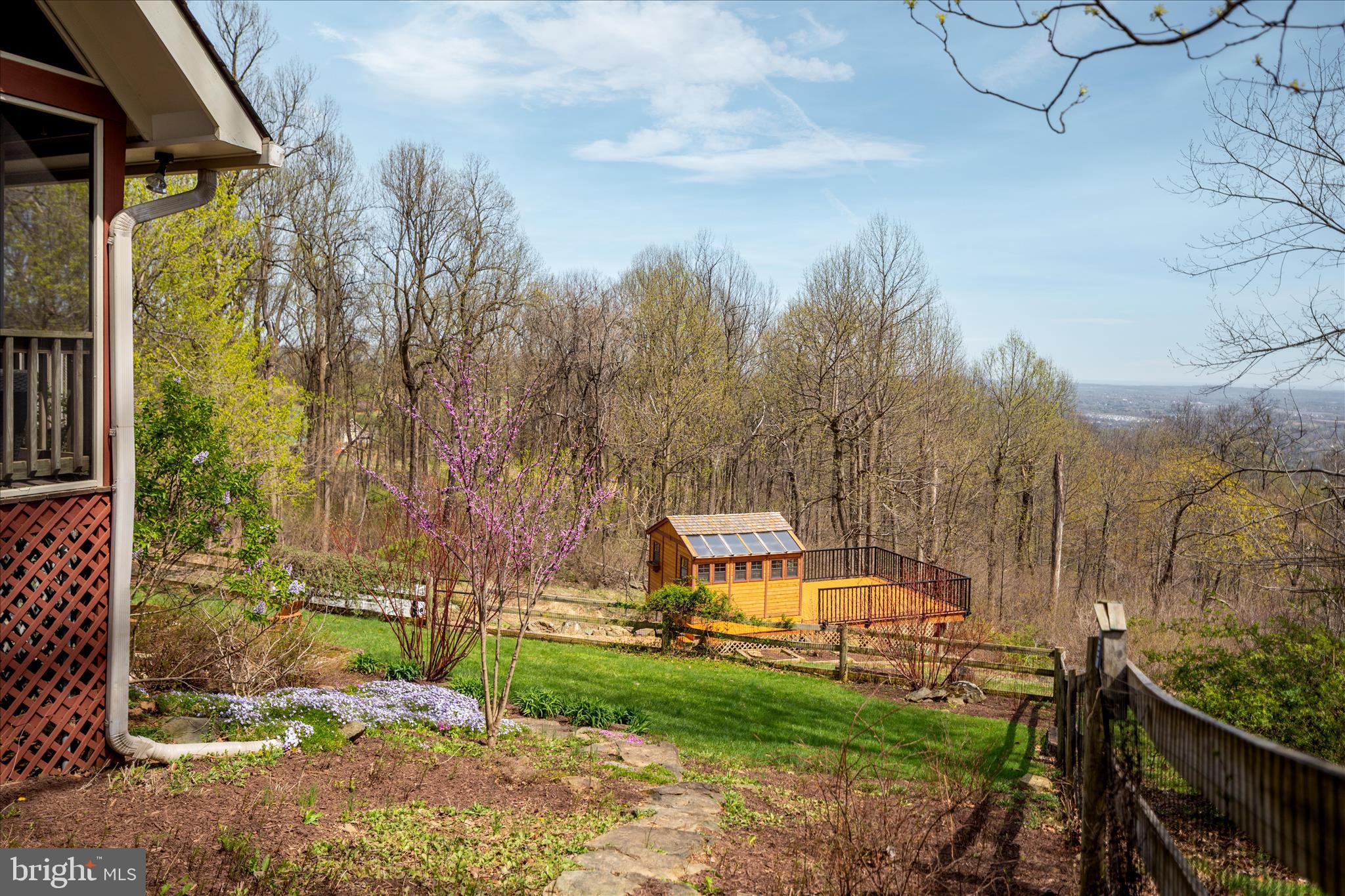 17352 Raven Rocks Road Round Hill, VA 20141 - Photo 18 of 47 a view of a chair and table in backyard
