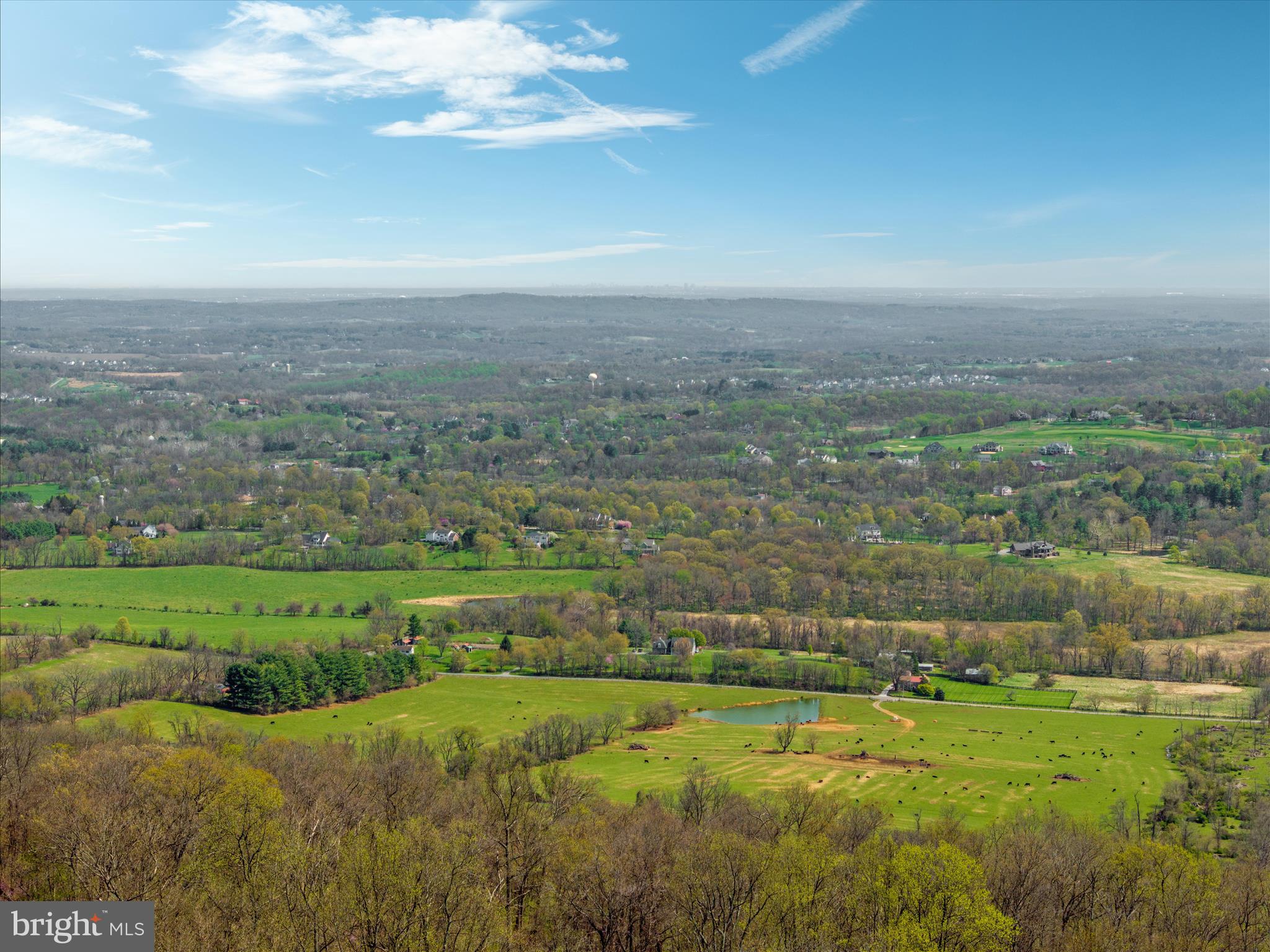 17352 Raven Rocks Road Round Hill, VA 20141 - Photo 30 of 47 a view of a big yard with large trees