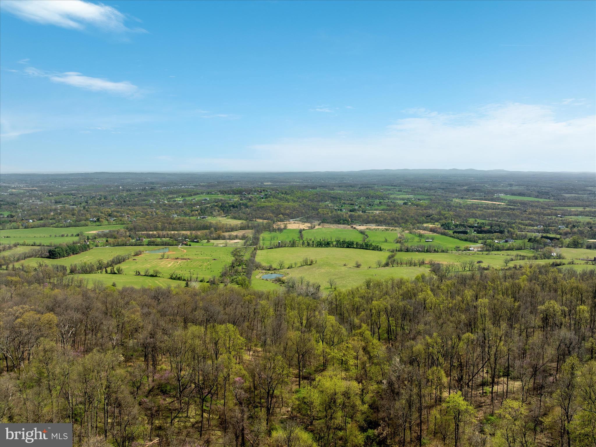 17352 Raven Rocks Road Round Hill, VA 20141 - Photo 42 of 47 a view of a city with lush green forest