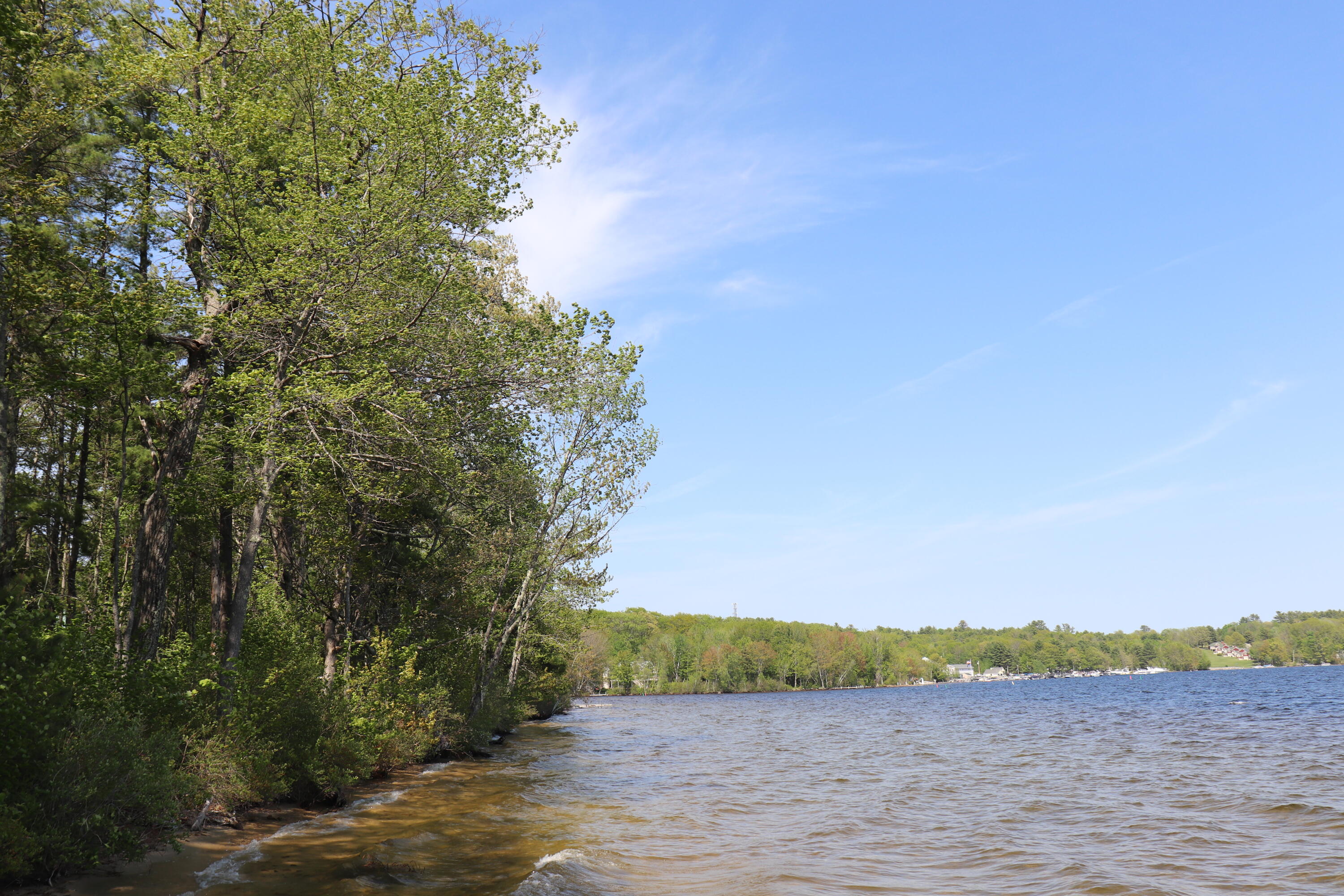 Tbd Steamboat Landing Road Naples, ME 04055 - Photo 11 of 20 Shore Summer