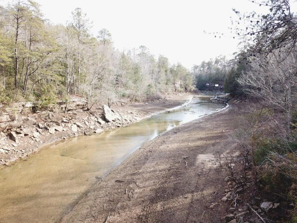 Jim Davis Road Arley, AL 35541 - Photo 9 of 23 Gallery Image 9