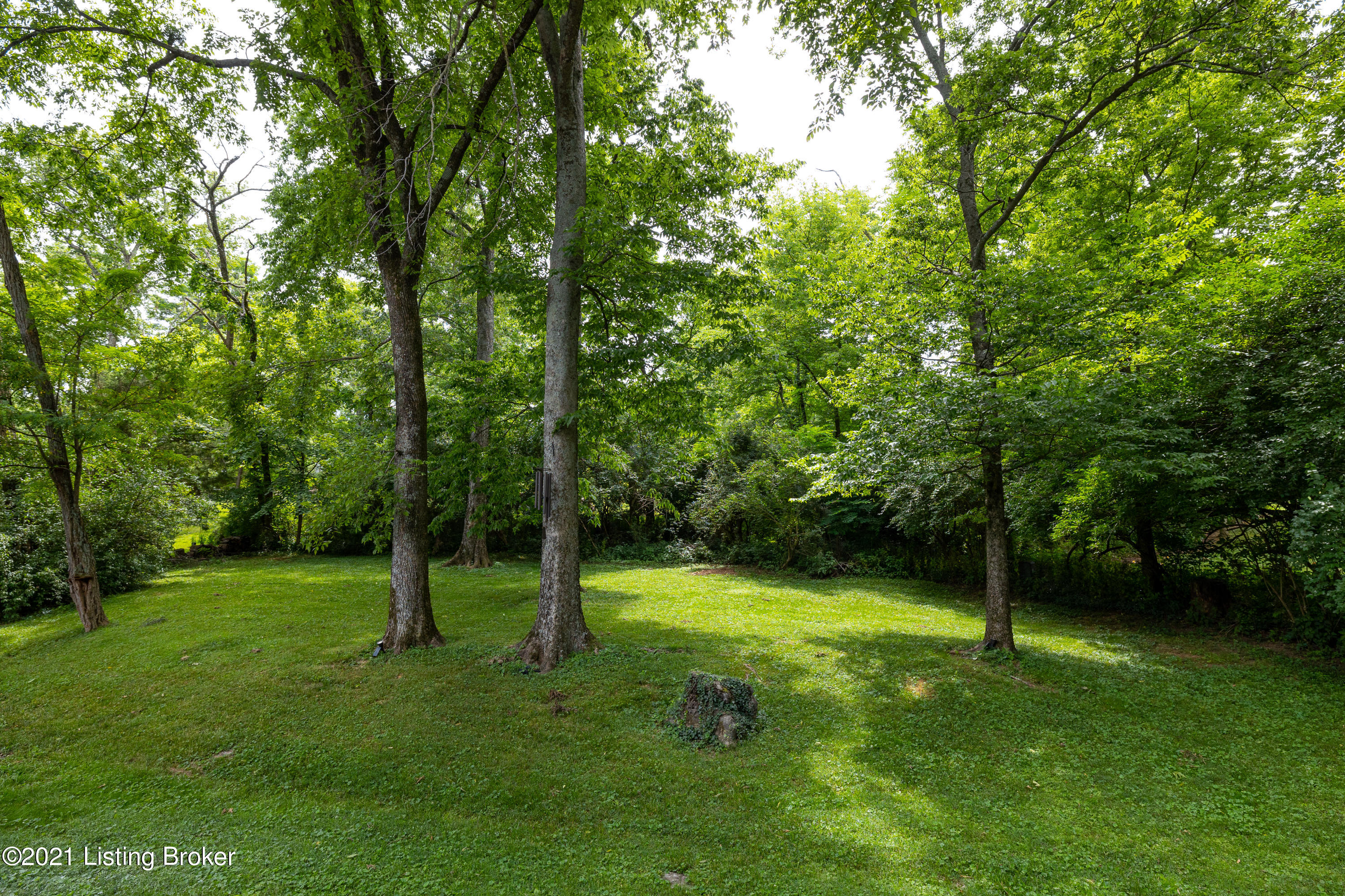 13303 Creekview Road Prospect, KY 40059 - Photo 37 of 37 Backyard_2_13303 Creekview Rd