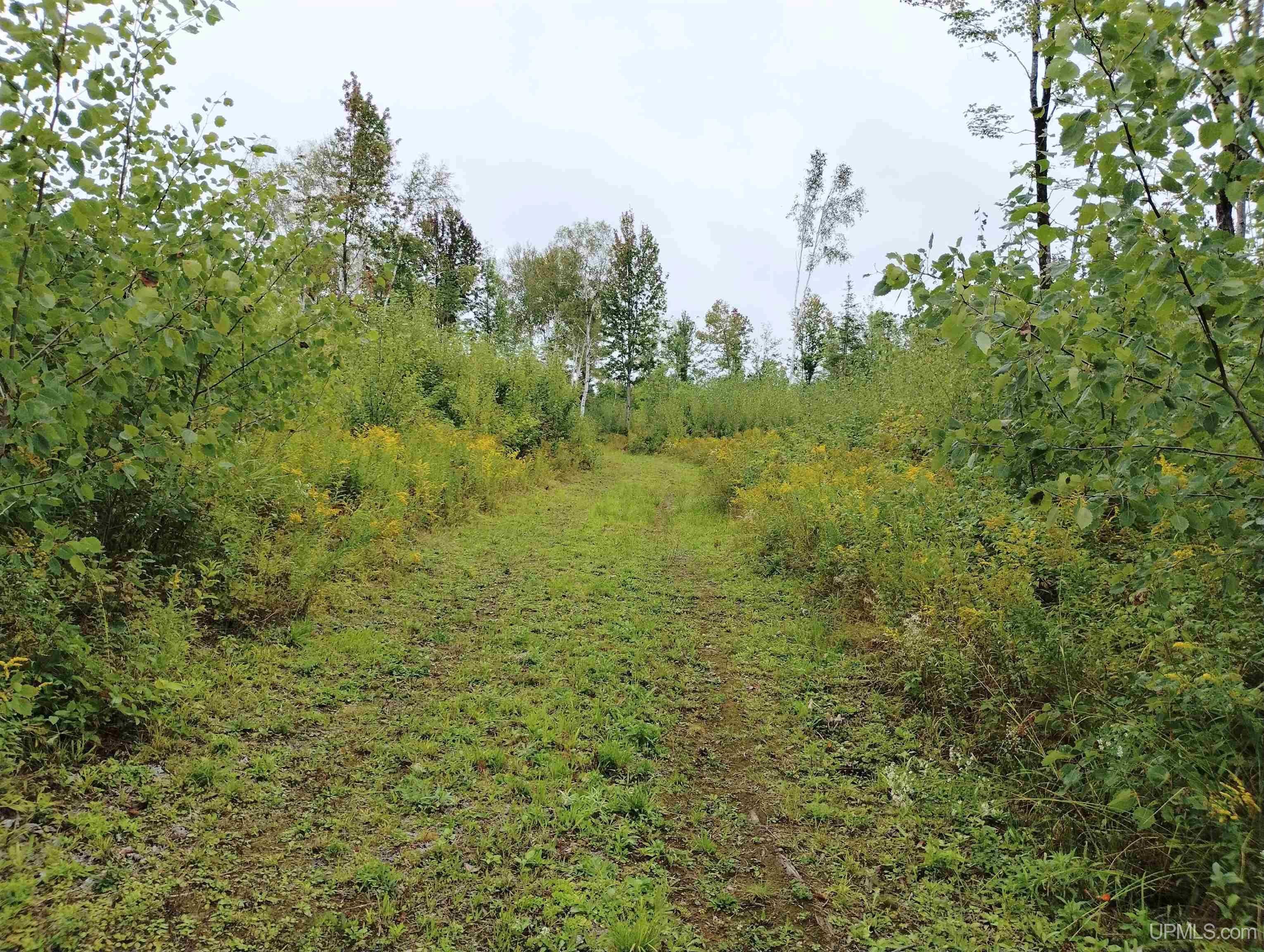 Tbd North Rock 38th Road Rock, MI 49880 - Photo 7 of 18 Gallery Image 7