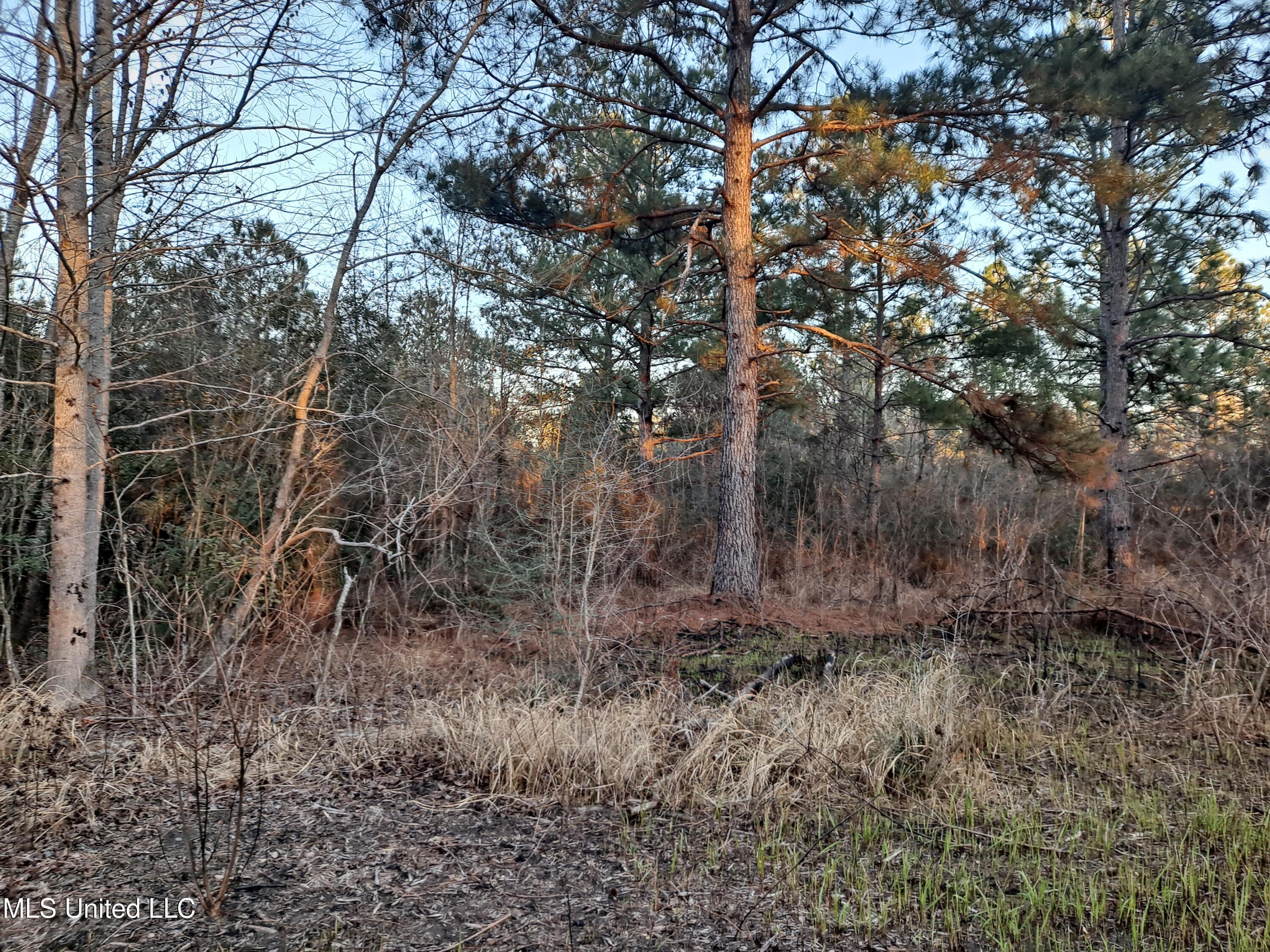 Tannertown Road Lucedale, MS 39452 - Photo 2 of 6 20250220_171106