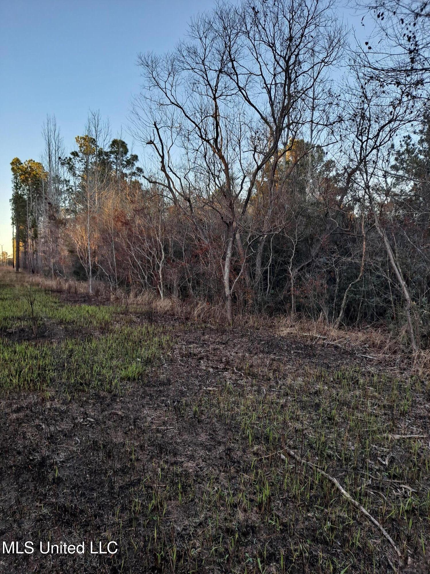 Tannertown Road Lucedale, MS 39452 - Photo 4 of 6 20250220_171100