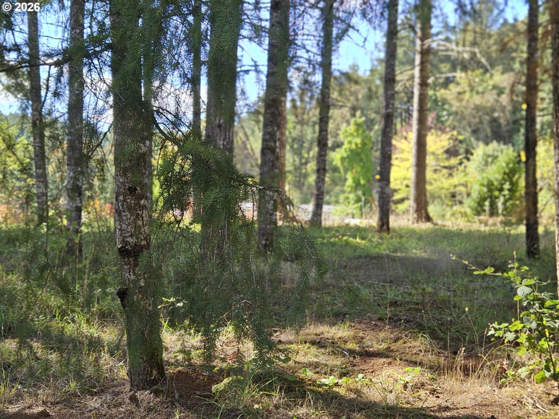27311 Smithville Road Sheridan, OR 97378 - Photo 26 of 48 Gallery Image 26