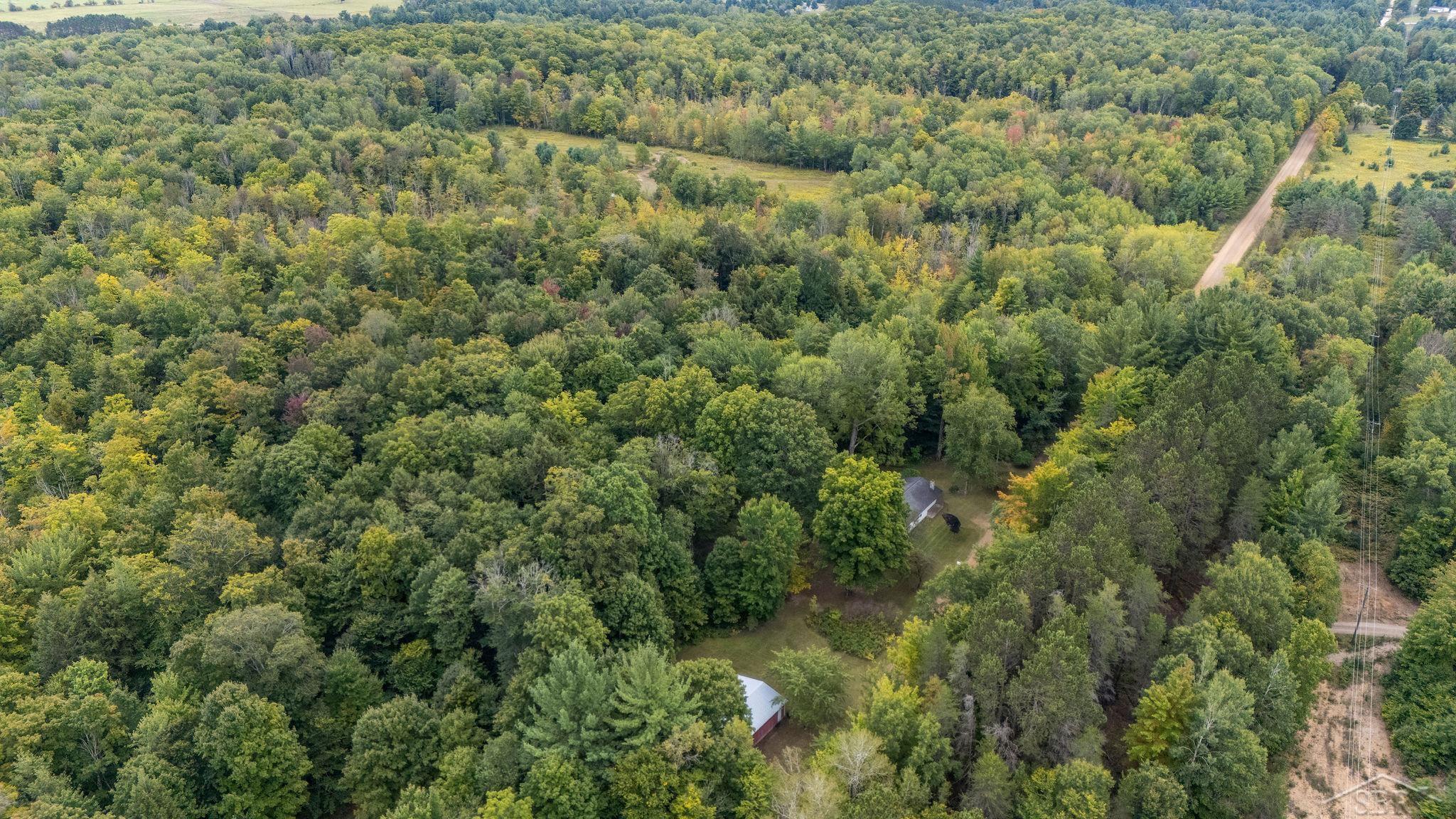 20686 Lakola Road Tustin, MI 49688 - Photo 46 of 47