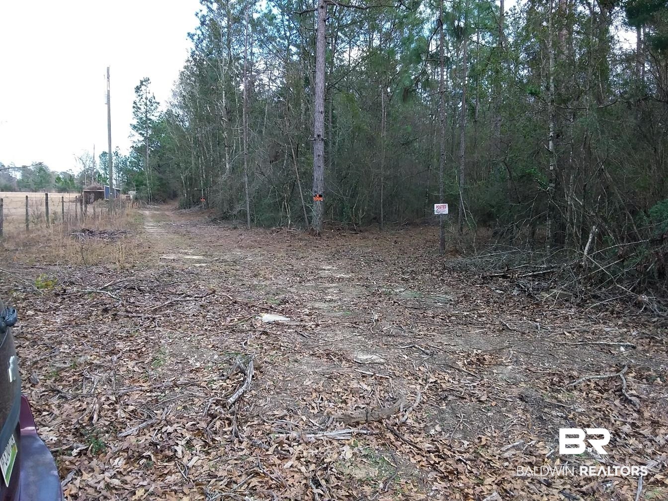 49360 Pimperl Road Bay Minette, AL 36507 - Photo 5 of 8