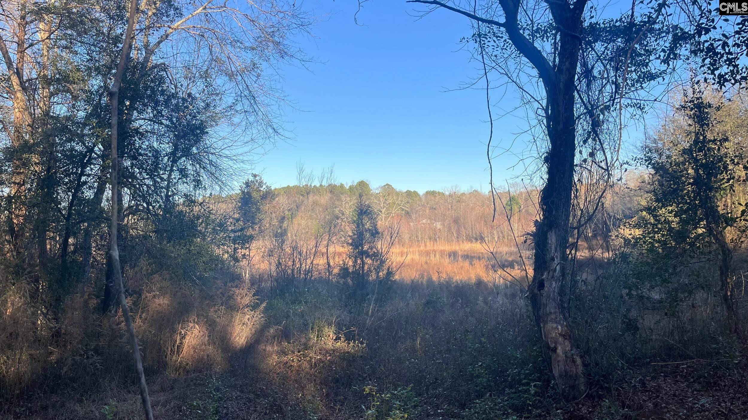 Tbd Tbd Millers Pond Road Salley, SC 29137 - Photo 6 of 20