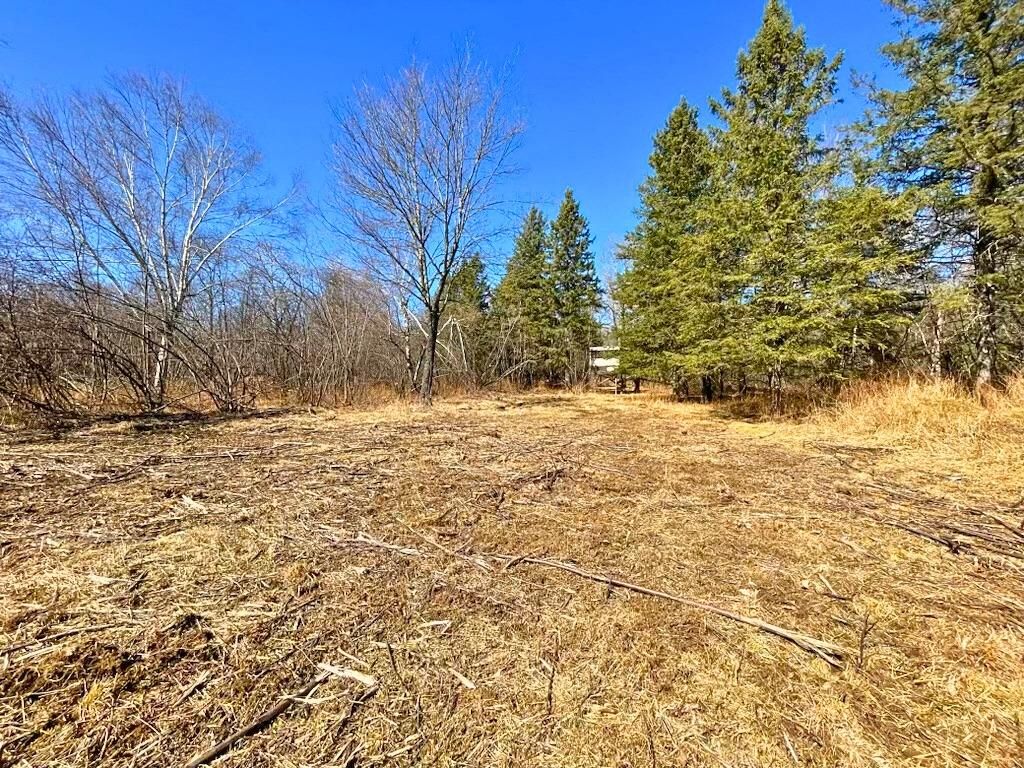 W10605 White Birch Road Kennan, WI 54537 - Photo 6 of 22 Gallery Image 6