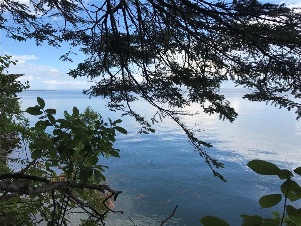 Xx Shore Road Perry, ME 04667 - Photo 18 of 77 Another view through the trees of...
