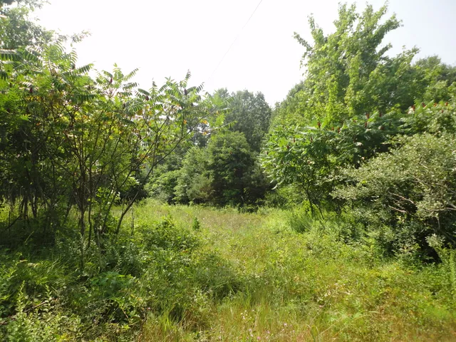 $33,000 | 215 Grand Junction, Grand Junction, MI 49056