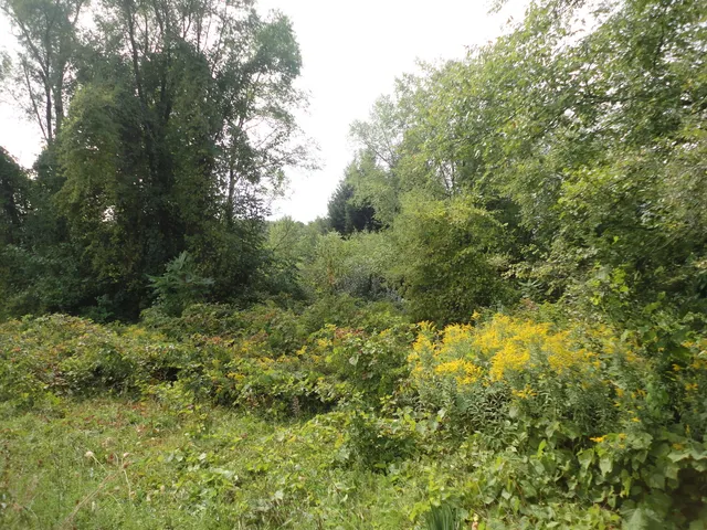 $33,000 | 215 Grand Junction, Grand Junction, MI 49056