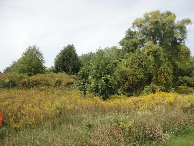 $33,000 | 215 Grand Junction, Grand Junction, MI 49056