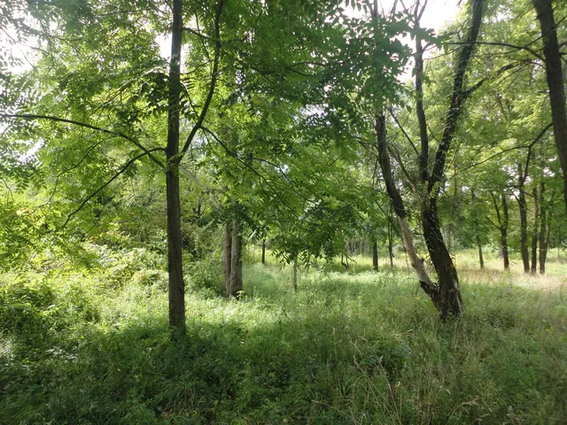 $33,000 | 215 Grand Junction, Grand Junction, MI 49056