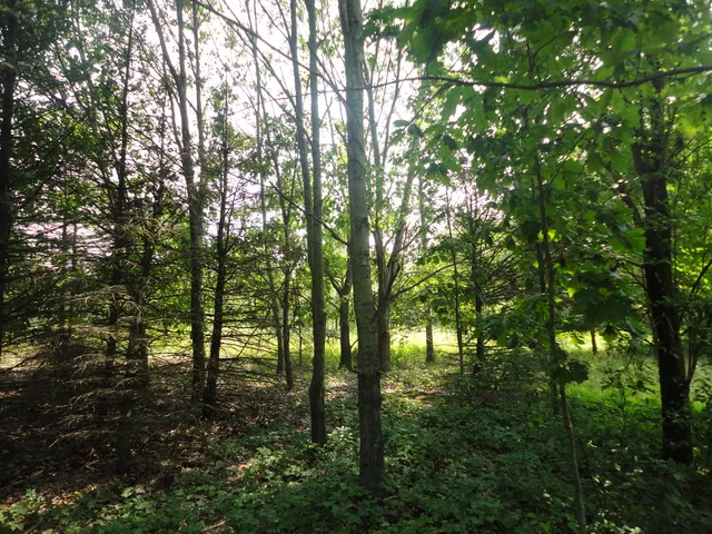 $33,000 | 215 Grand Junction, Grand Junction, MI 49056