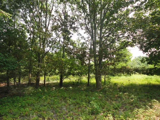 $33,000 | 215 Grand Junction, Grand Junction, MI 49056