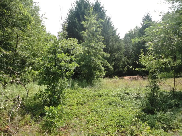 $33,000 | 215 Grand Junction, Grand Junction, MI 49056