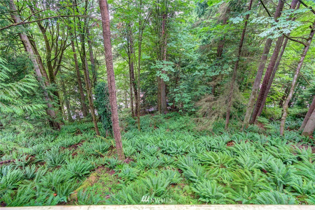 23 Hillside Place Bellingham, WA 98229 - Photo 25 of 25