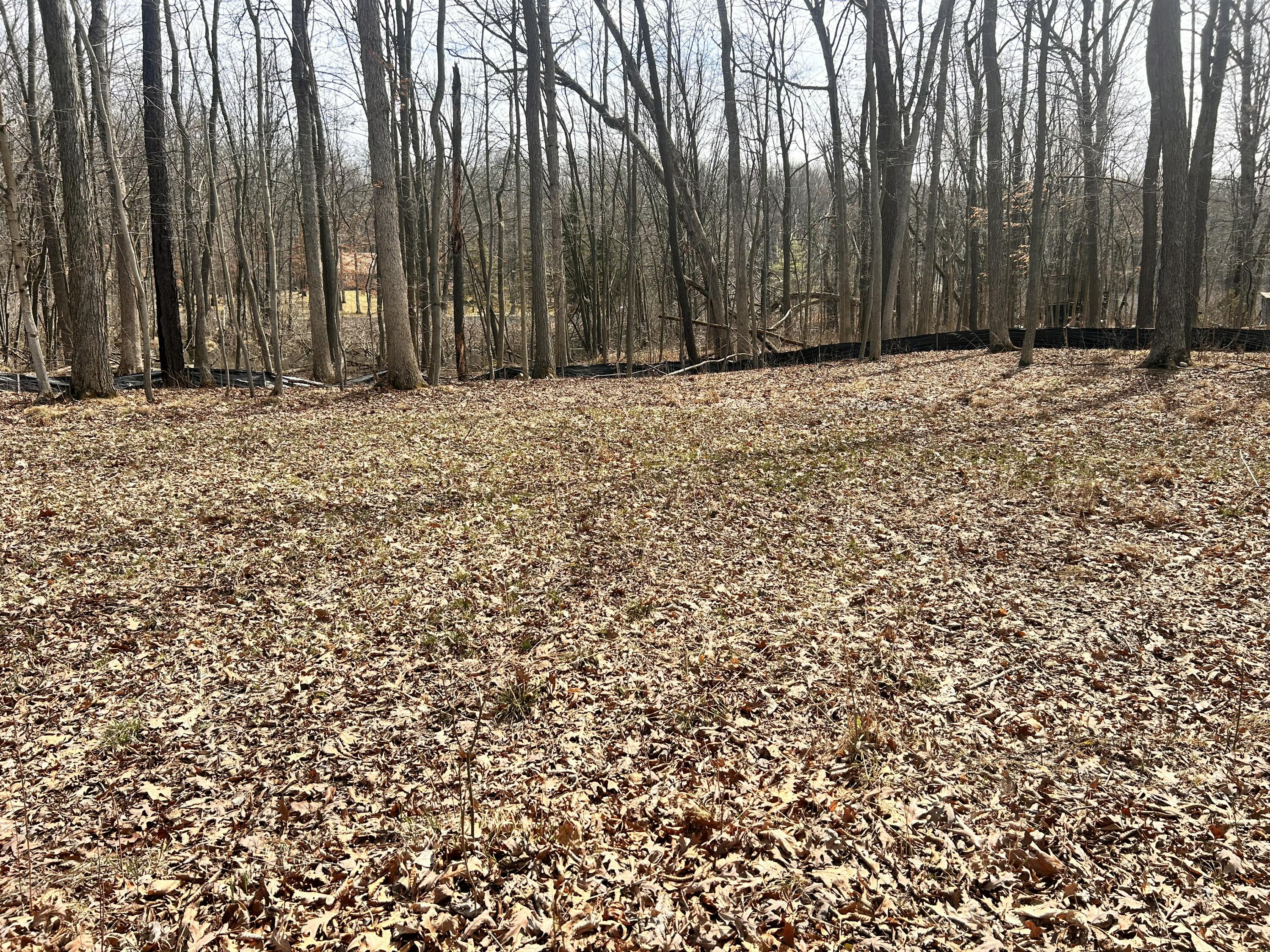 7468 Webster Church Road Whitmore Lake, MI 48189 - Photo 5 of 9 IMG_7642