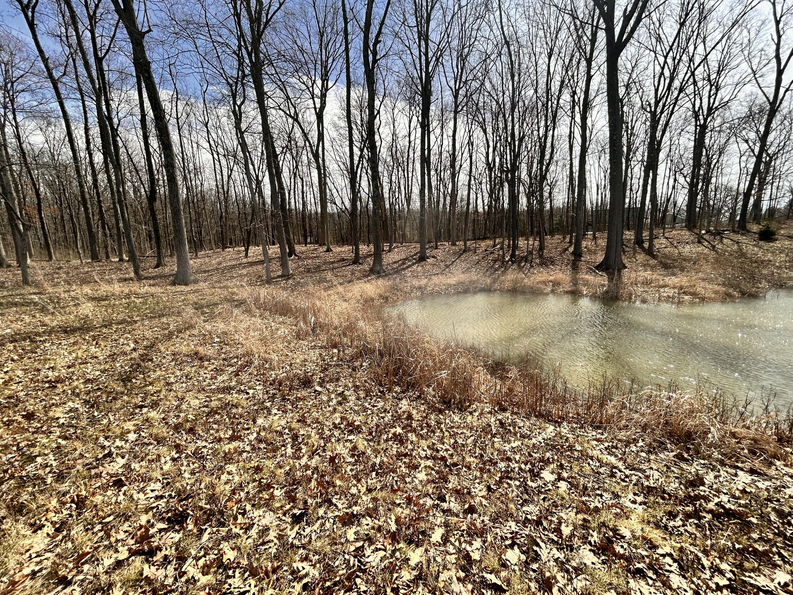 7468 Webster Church Road Whitmore Lake, MI 48189 - Photo 9 of 9 IMG_7638