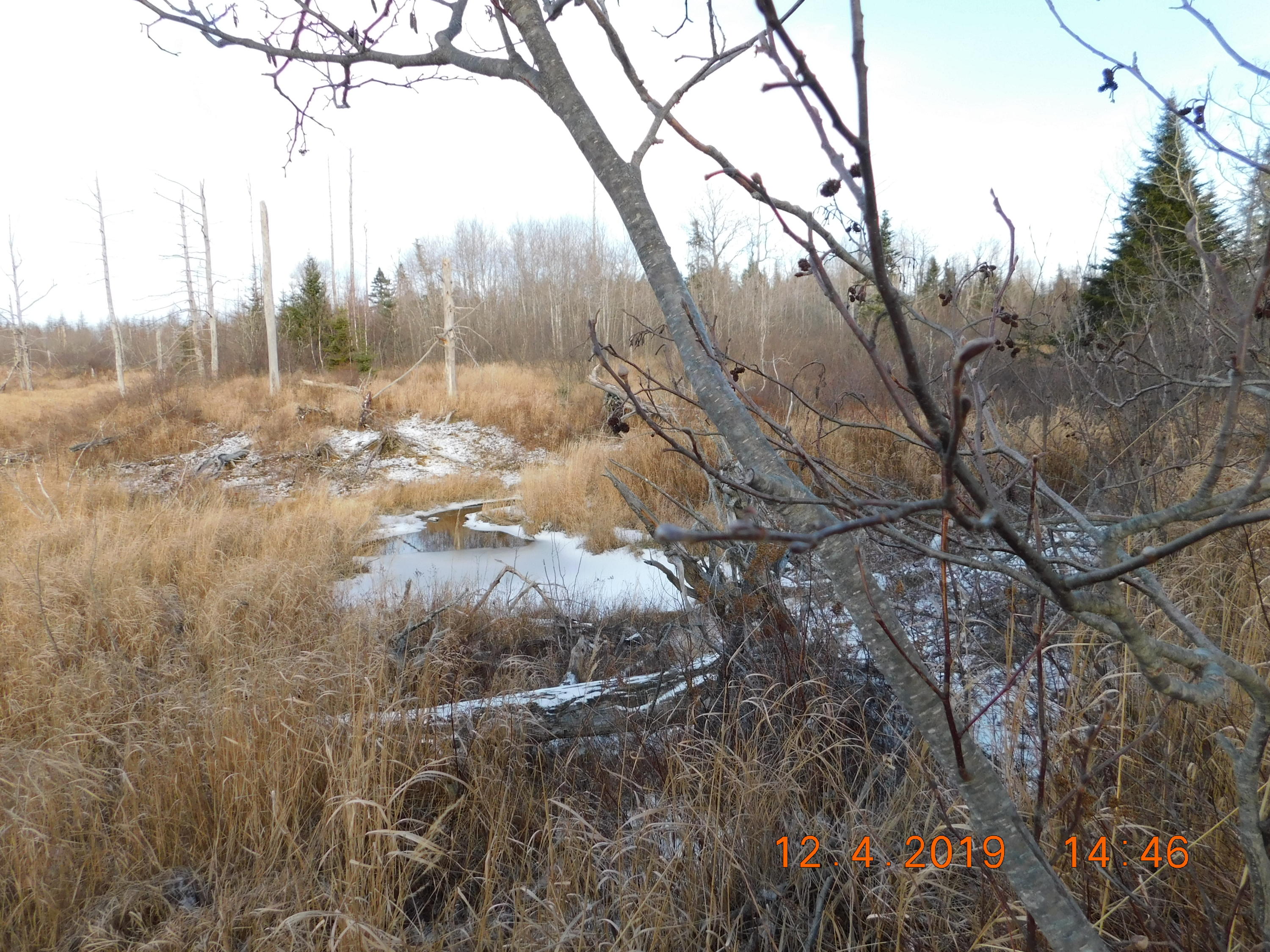 488 Roque Bluffs Road Roque Bluffs, ME 04654 - Photo 12 of 12 DSCN2582