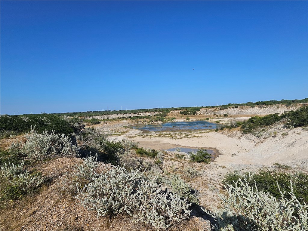 24024 441st Circle Mathis, TX 78368 - Photo 22 of 57 Gallery Image 22