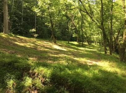 3570 Cave Springs Road Tazewell, TN 37879 - Photo 5 of 10 26716f