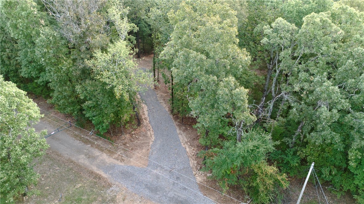 0 Ozark Point Chester, AR 72934 - Photo 11 of 49 Gallery Image 11