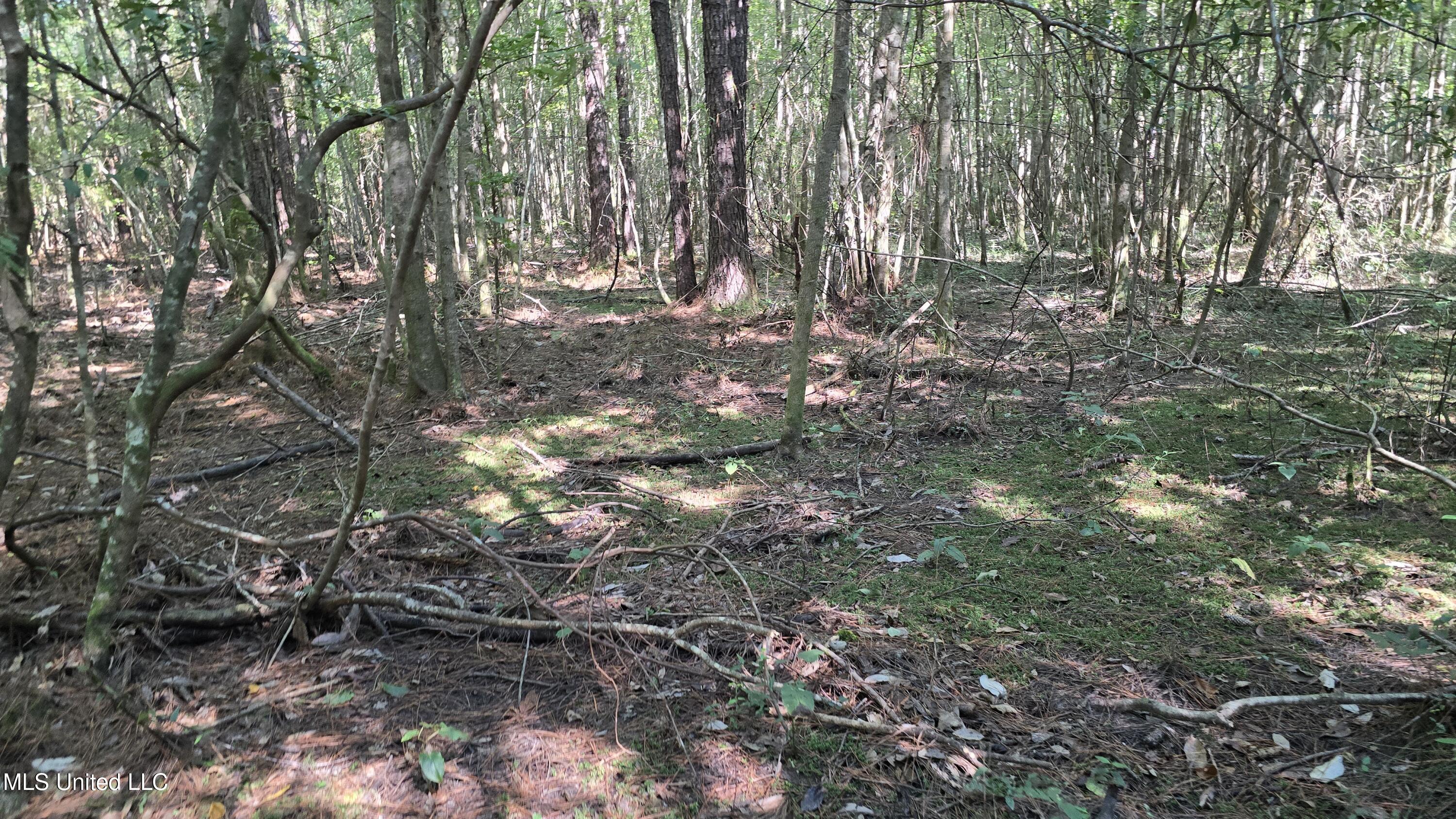 0 Davis Road Purvis, MS 39475 - Photo 16 of 51 20250825_100426