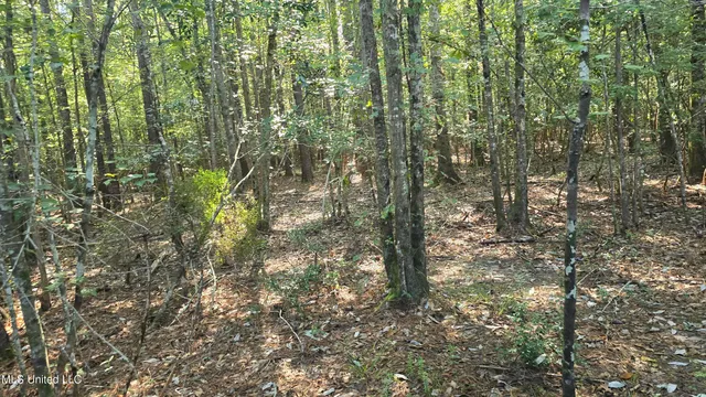$315,315 | 0 Davis Road, Purvis, MS 39475
