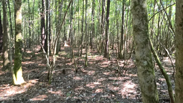 $315,315 | 0 Davis Road, Purvis, MS 39475