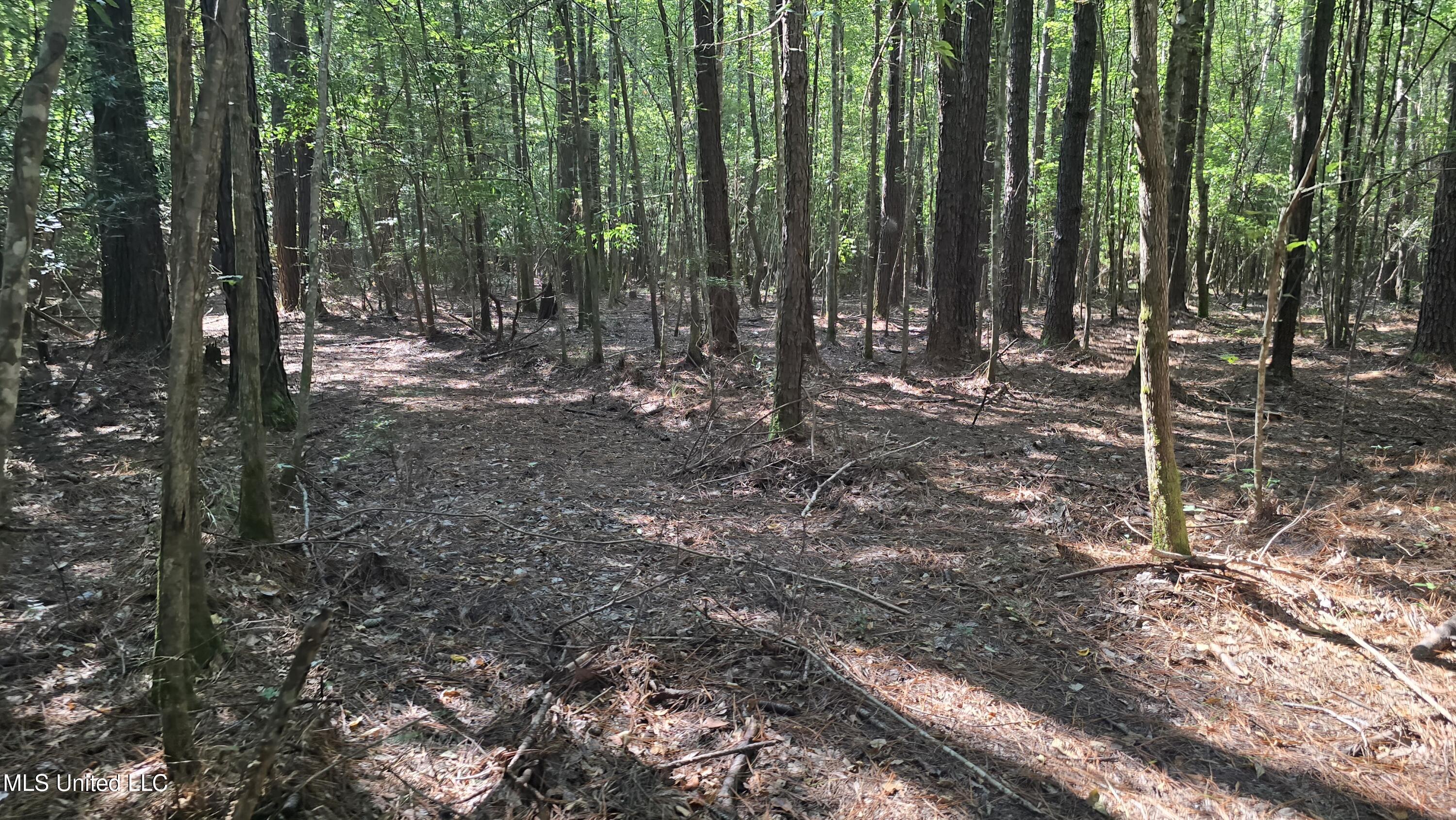 0 Davis Road Purvis, MS 39475 - Photo 23 of 51 20250825_100642