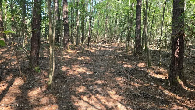 $315,315 | 0 Davis Road, Purvis, MS 39475