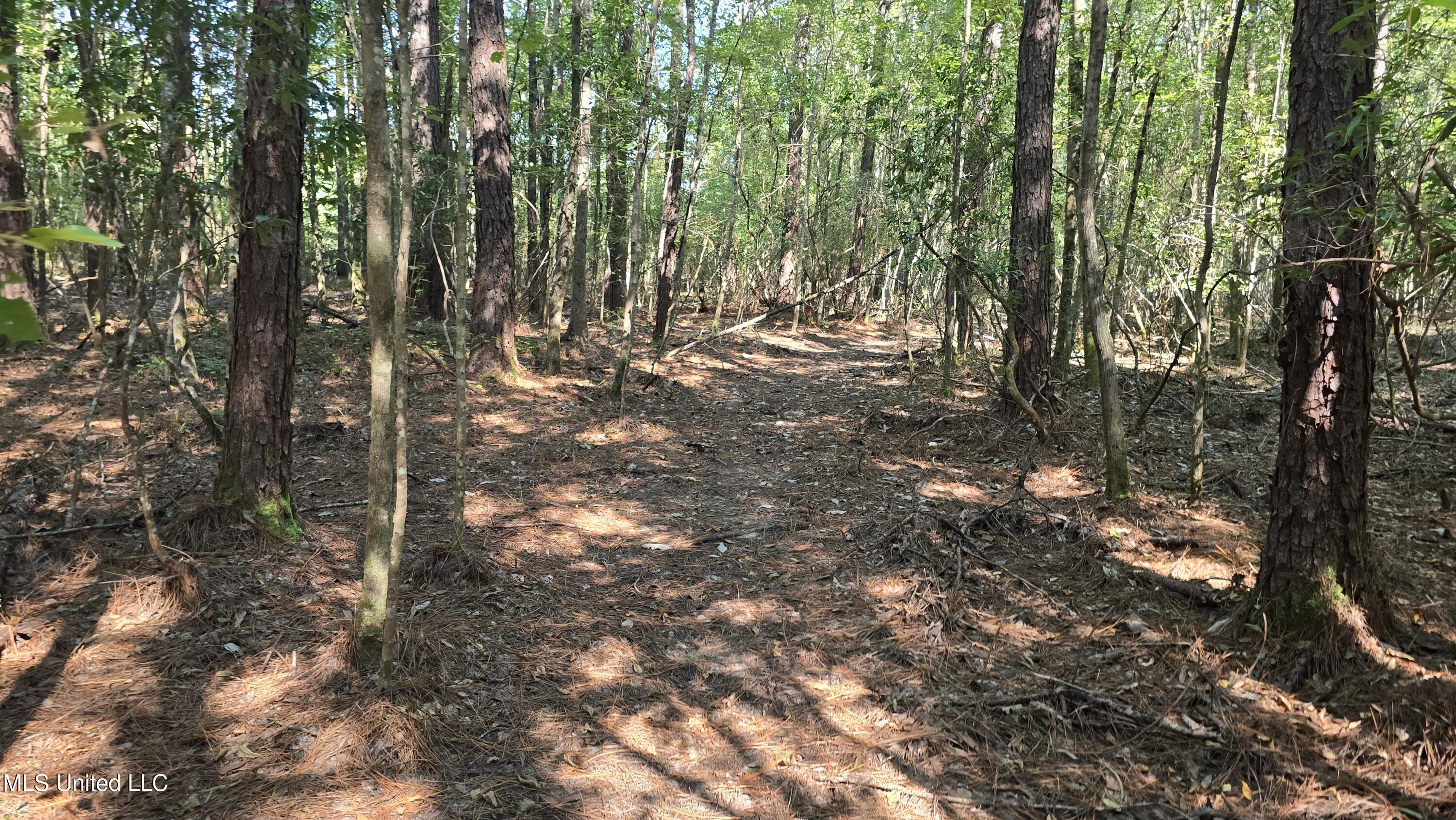 0 Davis Road Purvis, MS 39475 - Photo 25 of 51 20250825_100652