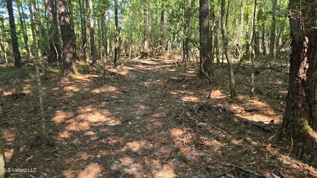 $315,315 | 0 Davis Road, Purvis, MS 39475