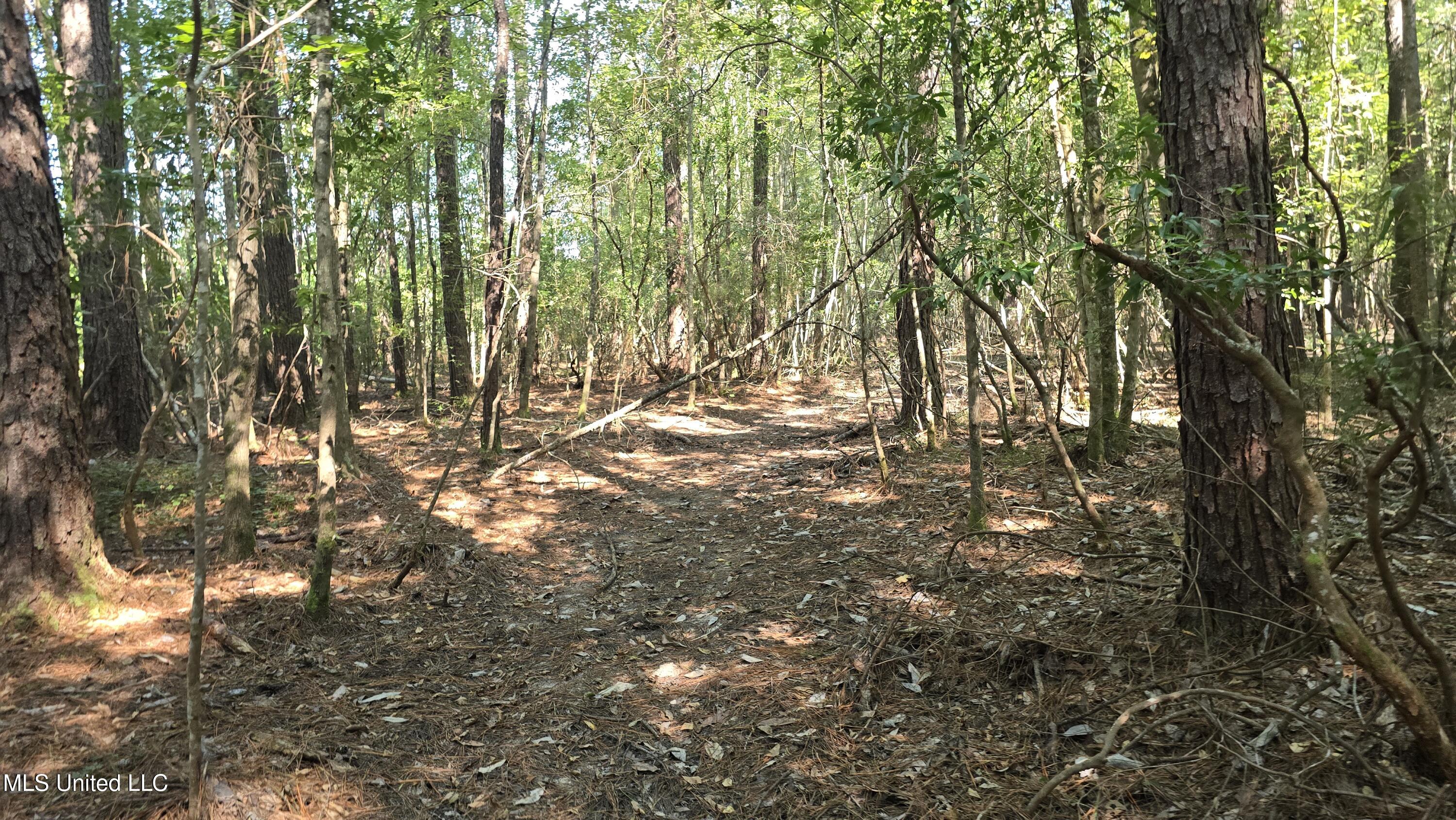 0 Davis Road Purvis, MS 39475 - Photo 27 of 51 20250825_100658