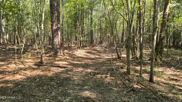 $257,850 | 0 Davis Road, Purvis, MS 39475