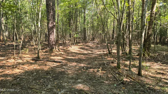 $315,315 | 0 Davis Road, Purvis, MS 39475