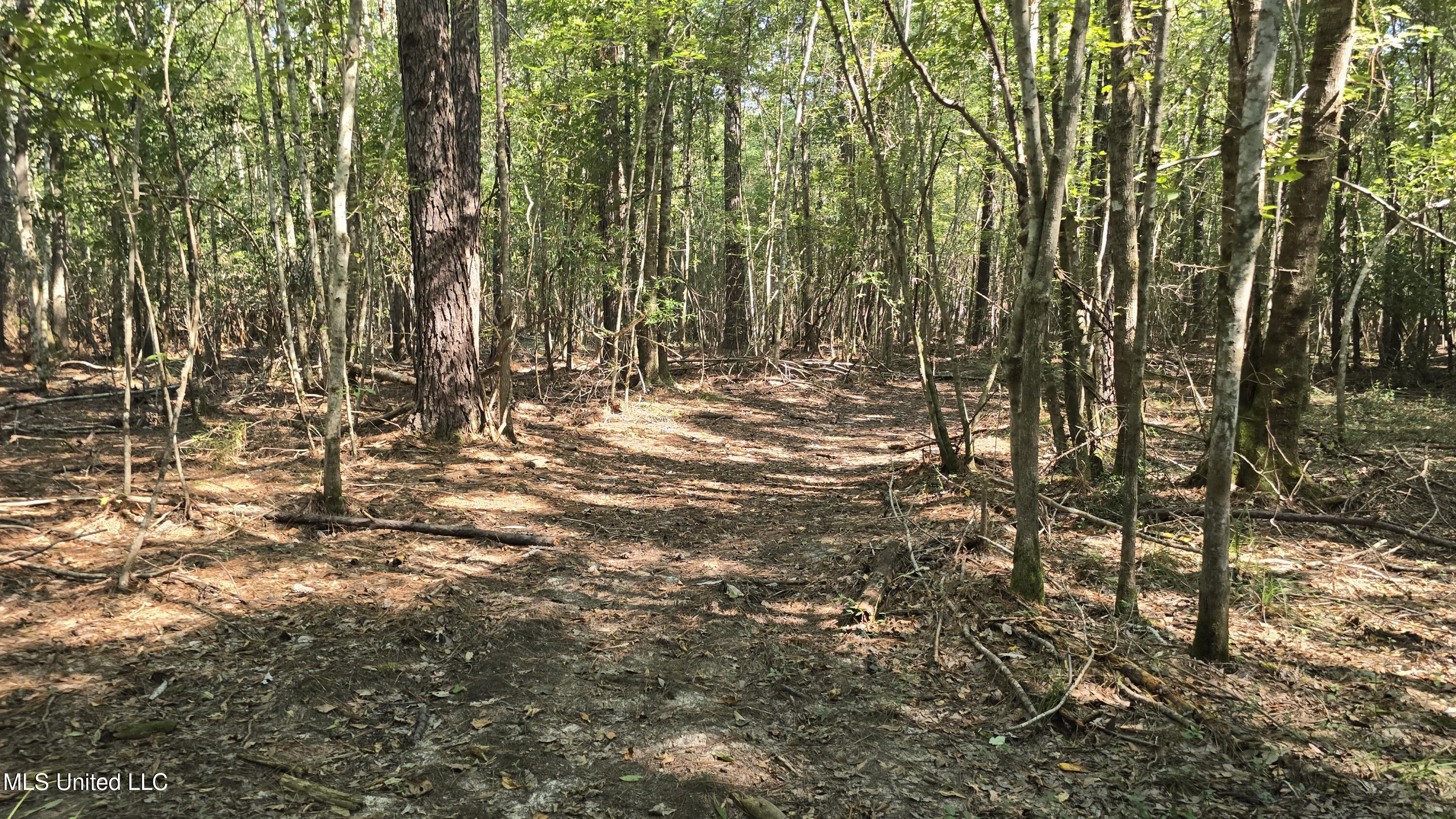 0 Davis Road Purvis, MS 39475 - Photo 28 of 51 20250825_100738
